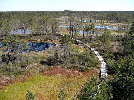 que hacer en el parque nacional lahemaa de tallin