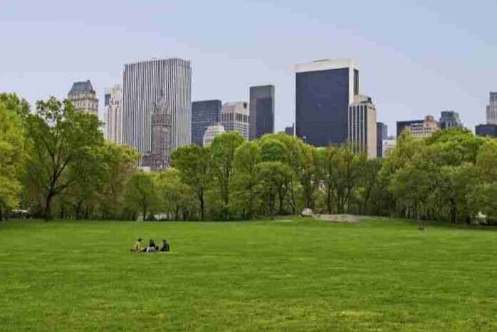 8 lugares gratuitos para disfrutar las vistas de Nueva York 3