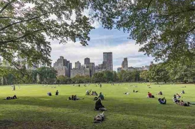 Una dia en Central Park en Nueva York: que hacer y donde comer 2