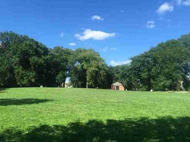 Una dia en Central Park en Nueva York: que hacer y donde comer 4