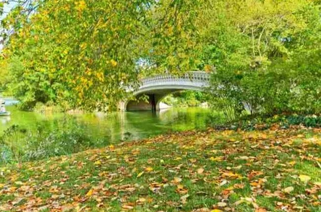 Una dia en Central Park en Nueva York: que hacer y donde comer 5