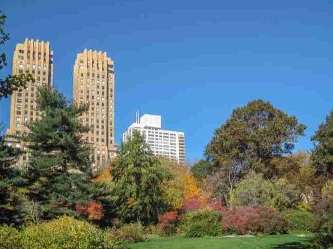 Una dia en Central Park en Nueva York: que hacer y donde comer 6