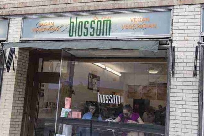 Comer en Nueva York: Los mejores restaurantes veganos y vegetarianos 5 Comer en Nueva York: Los mejores restaurantes veganos y vegetarianos 5