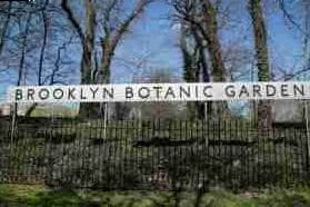 Coney Island en Nueva York: cómo llegar y qué ver