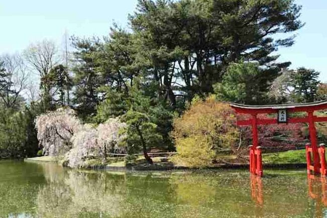 Jardines Botánicos de Brooklyn en Nueva York