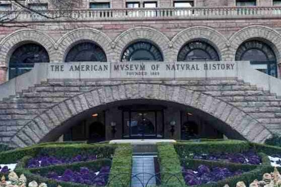 Los 12 Mejores Museos de Nueva York 3