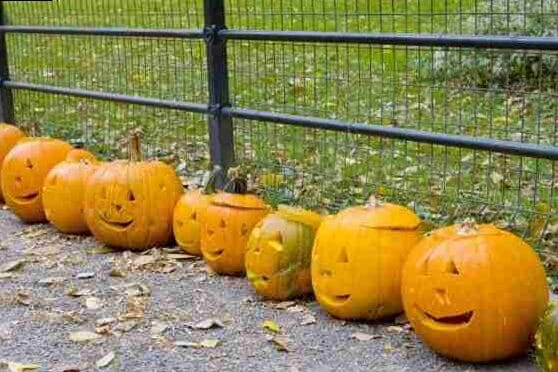 Que hacer en Halloween en Nueva York 4