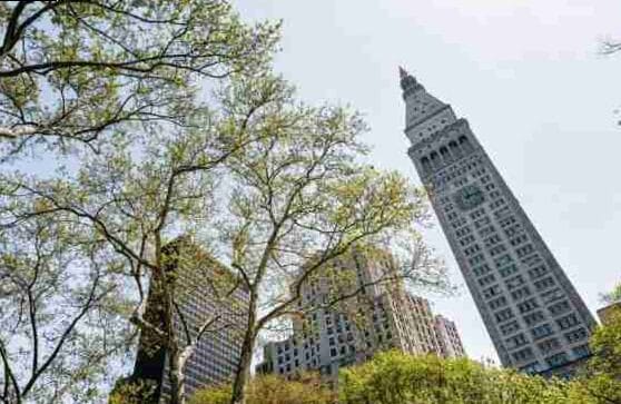 Edificio Flatiron en Nueva York: qué ver y hacer 3