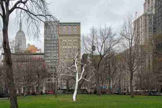 Edificio Flatiron en Nueva York: qué ver y hacer 5
