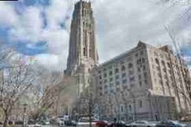 Harlem en Nueva York: que ver y que hacer 4 Harlem en Nueva York: que ver y que hacer 3