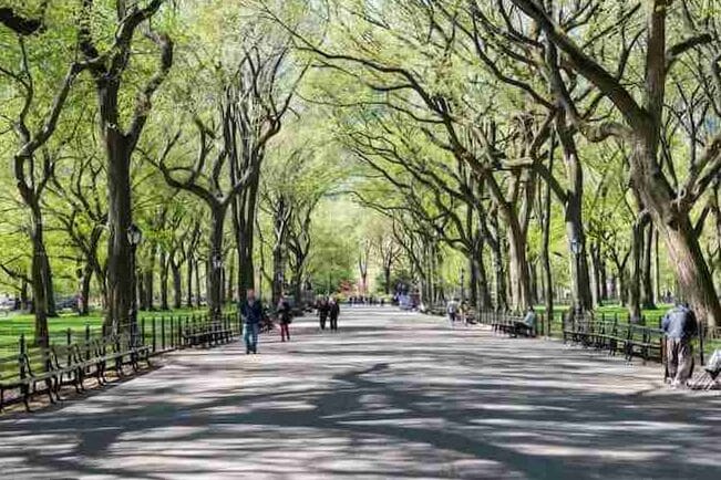Uptown en Manhattan: que hacer y donde dormir 3
