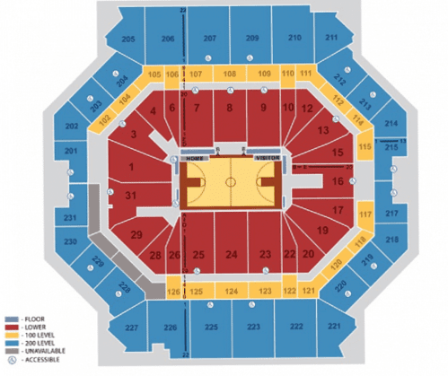 Ver un partido de los Brooklyn Nets en Nueva York: que saber antes de ir