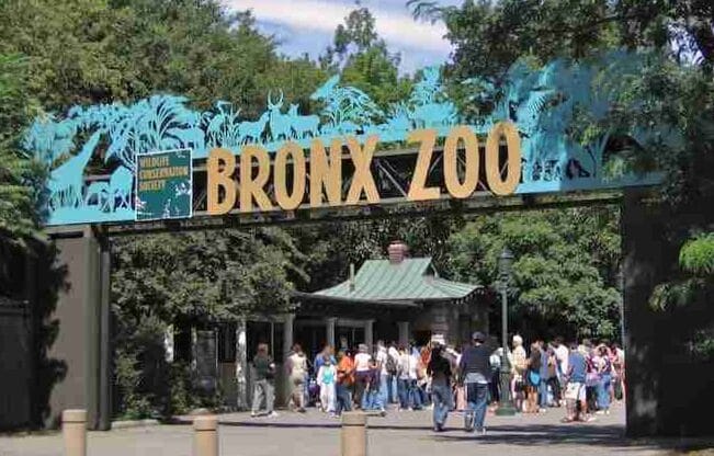 Verano en Nueva York: cosas que hacer, clima, ofertas 3